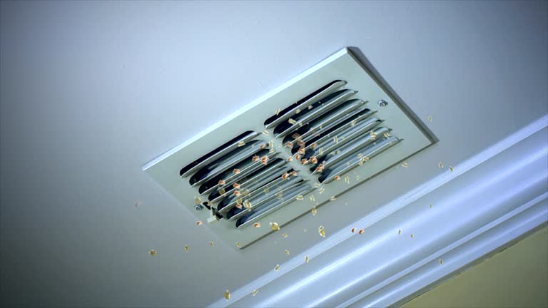 Best Duct Cleaning for Homes  in Kasson, MN