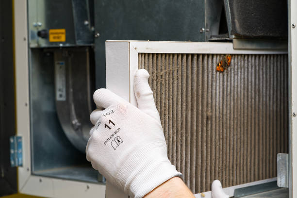 Best Residential Air Duct Cleaning  in Kasson, MN