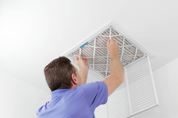 Best Dryer Vent Cleaning Services  in Kasson, MN